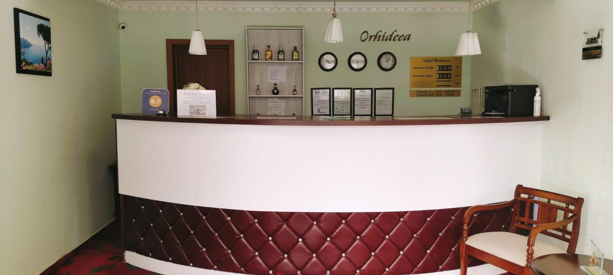 Auberge de jeunesse Orhideea